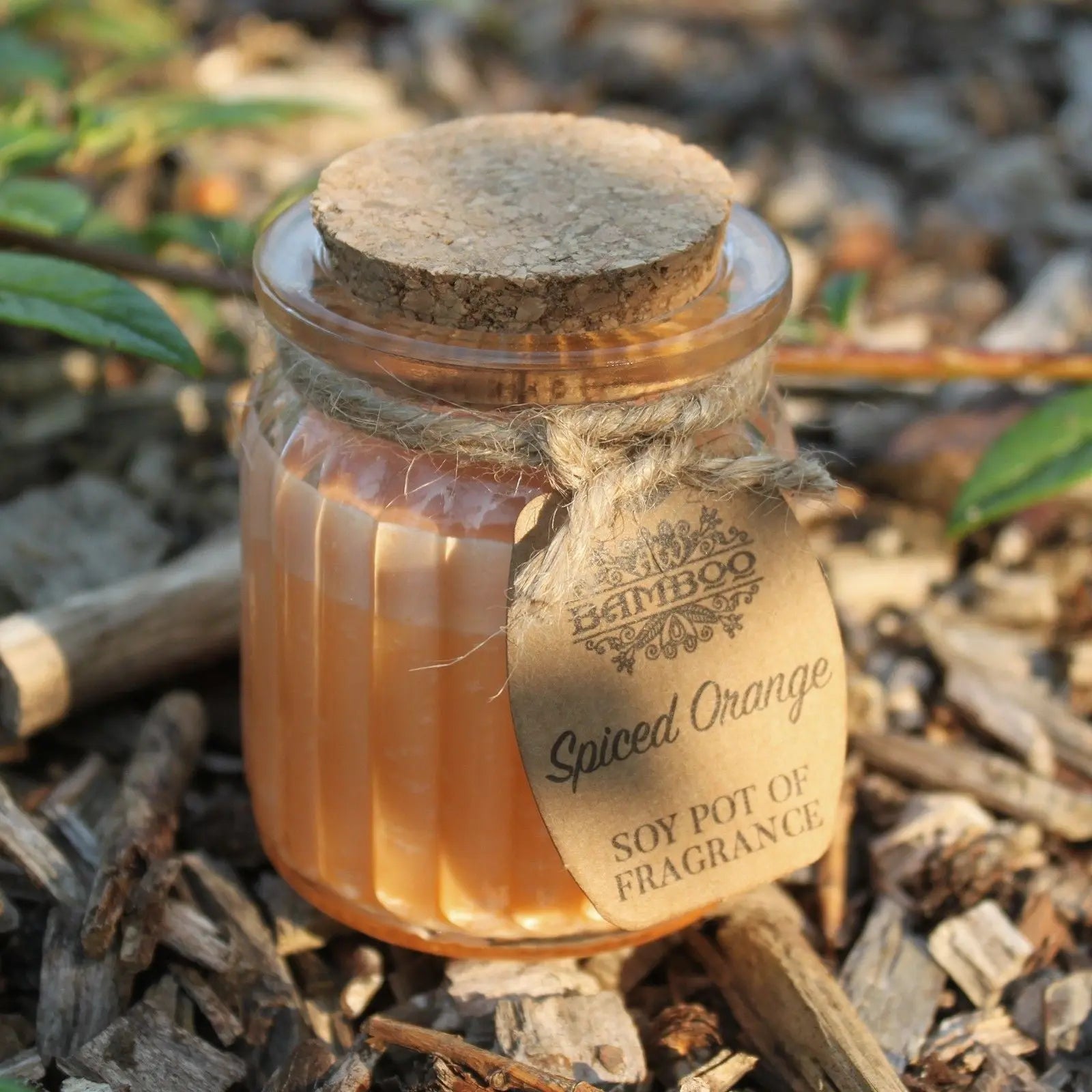  Pamperandpost Spiced Orange Soy Pot of Fragrance Candles Soy Pot of Fragrance Candle