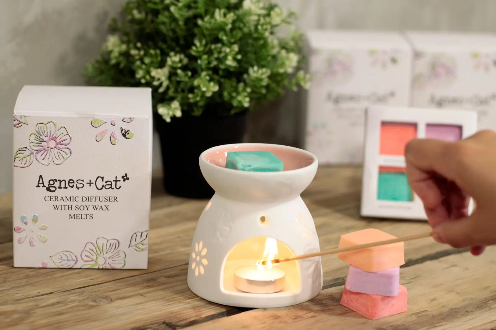 Wax Melter with Four Soy Wax Melts AW Dropship UK