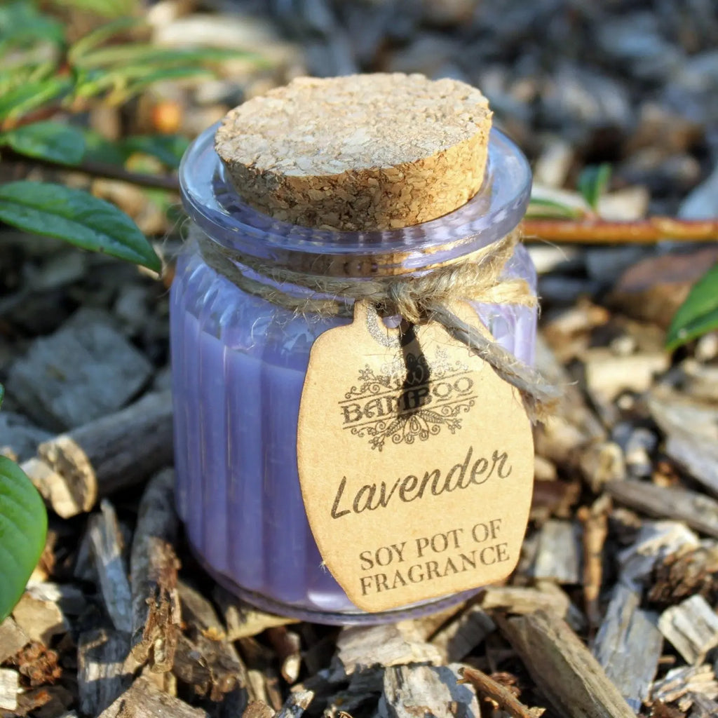  Pamperandpost Lavender Soy Pot of Fragrance Candles Soy Pot of Fragrance Candle