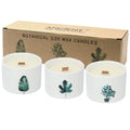 Pamperandpost Med Botanical Candles - Mullberry Harvest