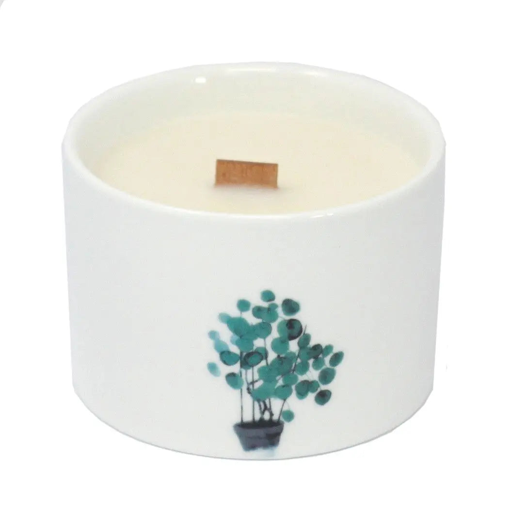 Med Botanical Candles - Lemon Honeysuckle AW Dropship UK