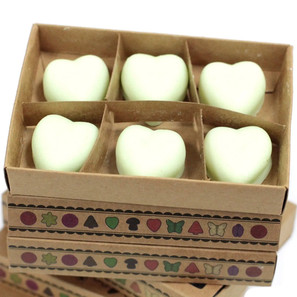  Pamperandpost Box of 6 Wax Melts - Watermelon Fresh Natural Soy Wax Melts