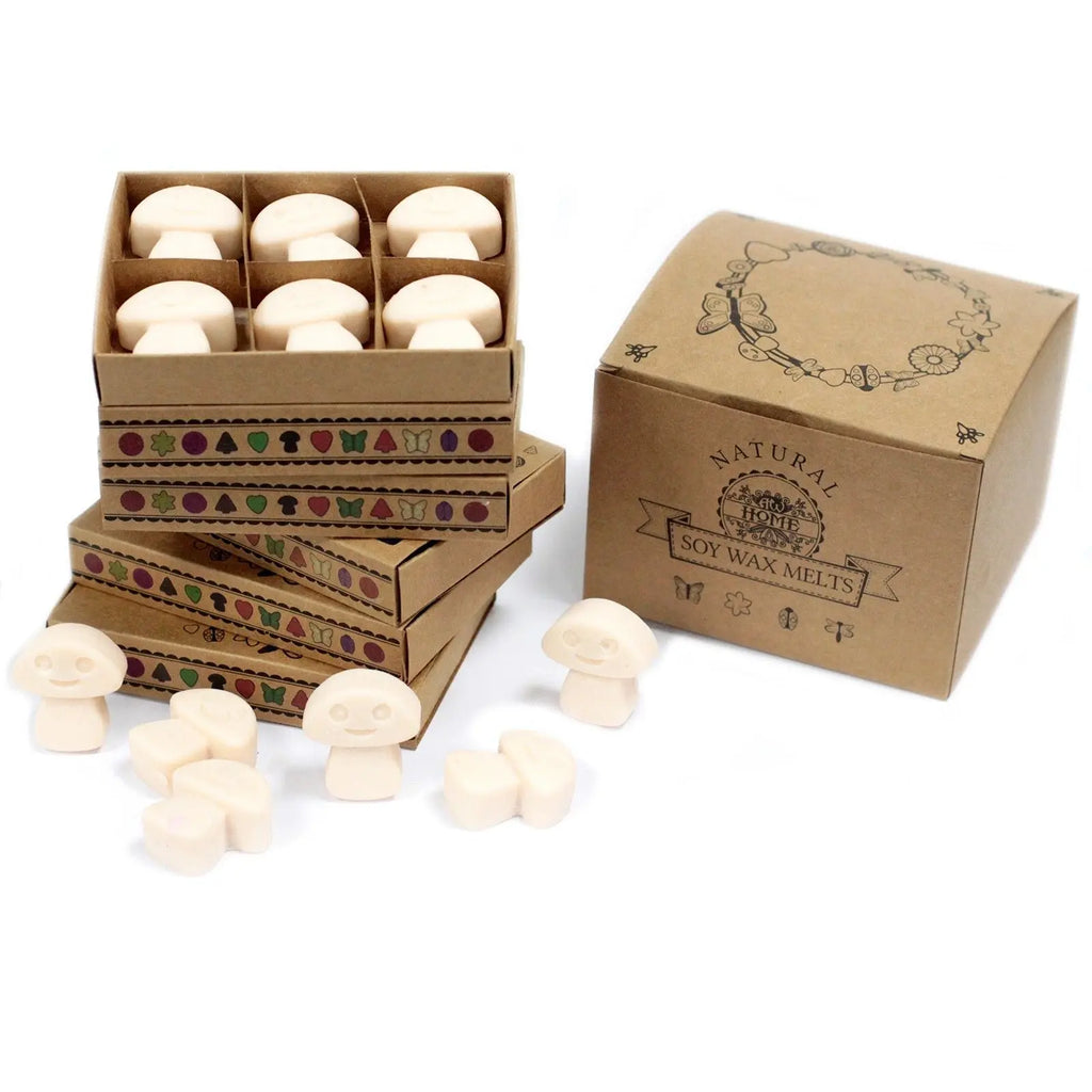 Box of 6 Wax Melts - Vanilla Nutmeg AW Dropship UK