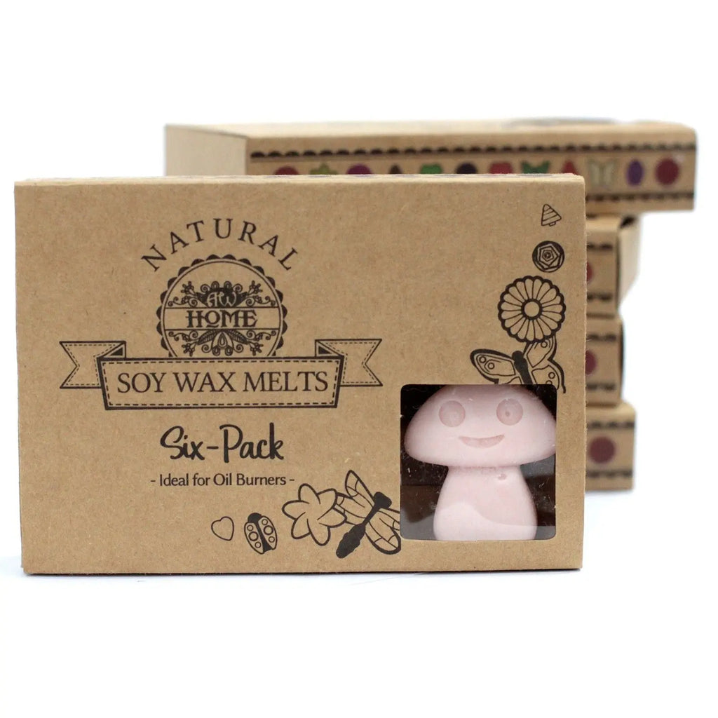 Box of 6  Wax Melts - Dark Sandalwood AW Dropship UK