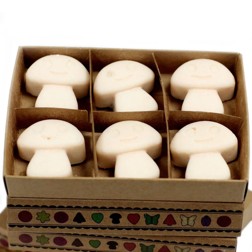Box of 6 Wax Melts - Vanilla Nutmeg AW Dropship UK