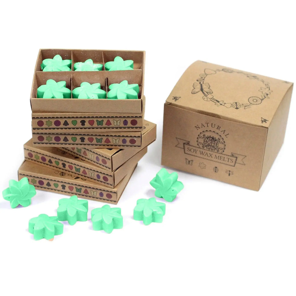 Box of 6  Wax Melts - Hidden Garden AW Dropship UK