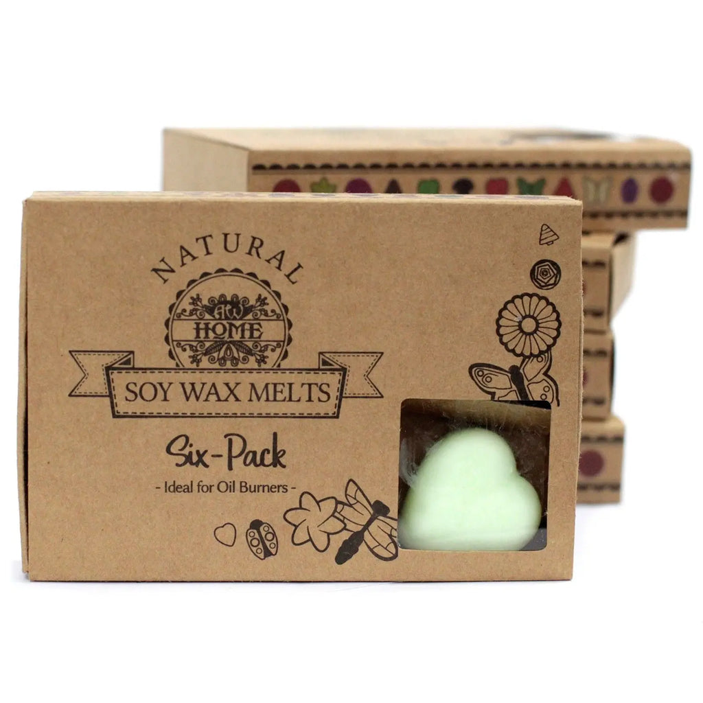  Pamperandpost Box of 6  Wax Melts - Mint & Menthol Natural Soy Wax Melts