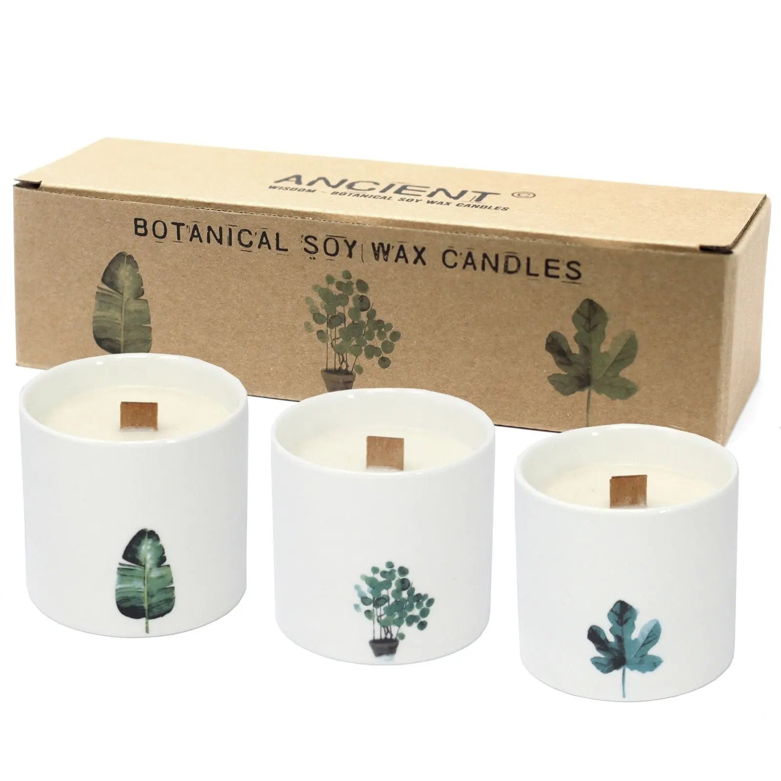 Large Botanical Candles - Marsh Viola AW Dropship UK