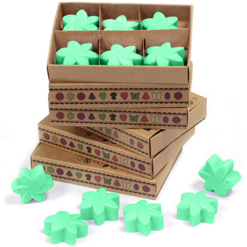 Box of 6  Wax Melts - Hidden Garden AW Dropship UK
