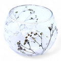  Pamperandpost Natural Floral Glass - Bowl Candle Holder - Margarita - (8x10cm) Natural Floral Glass Candle Holders