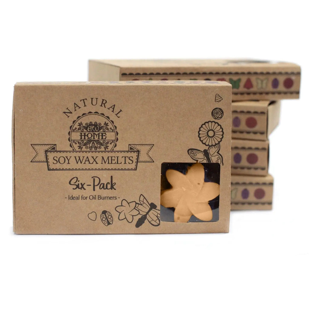  Pamperandpost Box of 6  Wax Melts - Midnight Jasmine Natural Soy Wax Melts