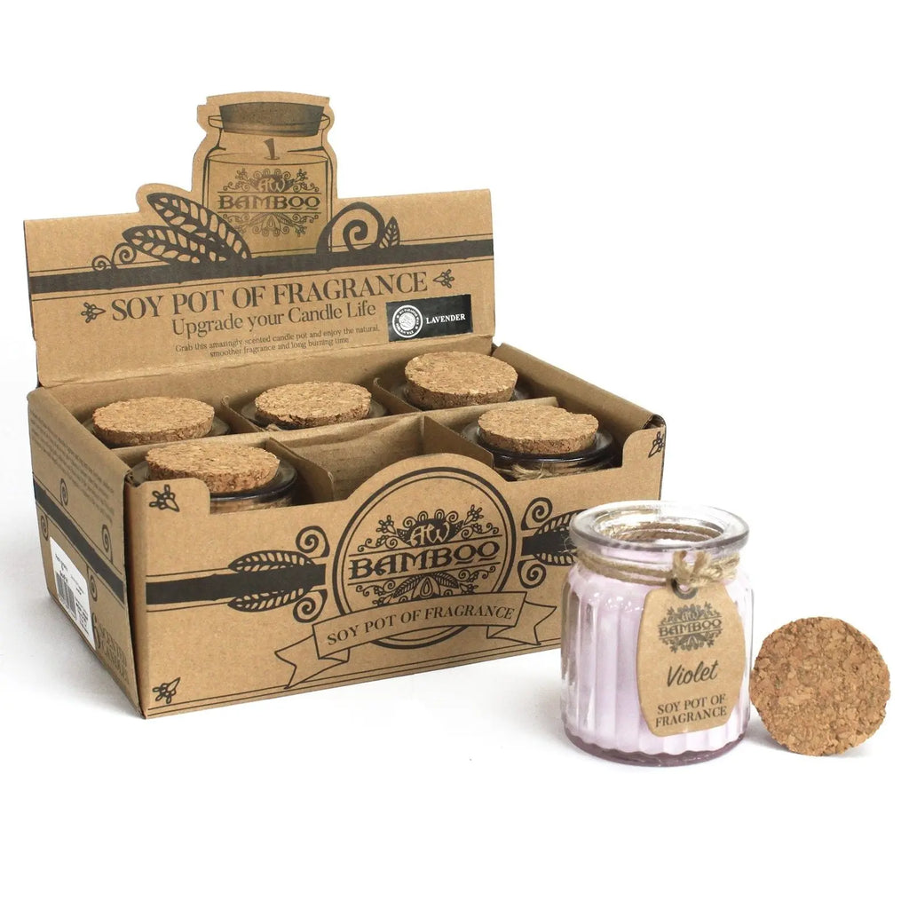 Pamperandpost Violet Soy Pot of Fragrance Candles