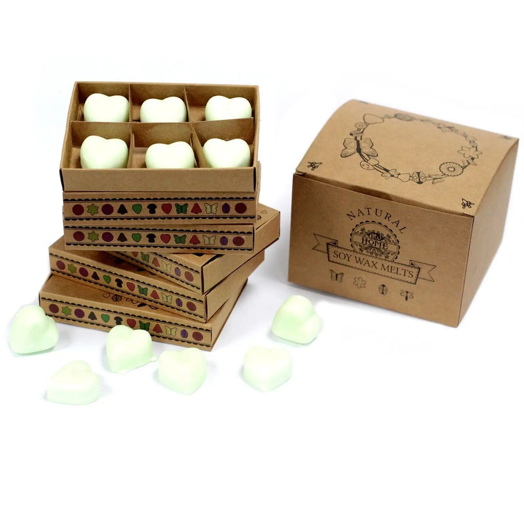 Box of 6 Wax Melts - Apple Spice AW Dropship UK