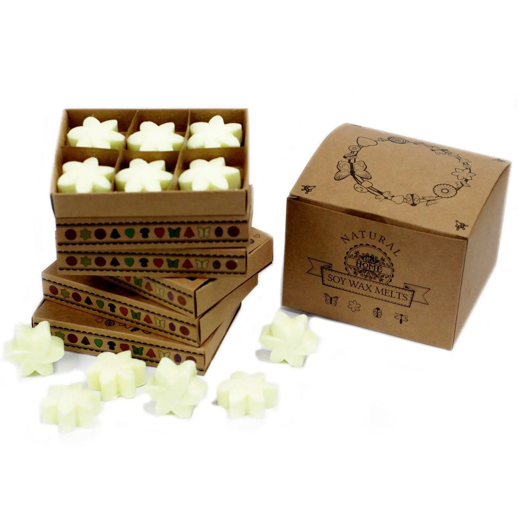 Box of 6  Wax Melts - Lemon Harvest AW Dropship UK