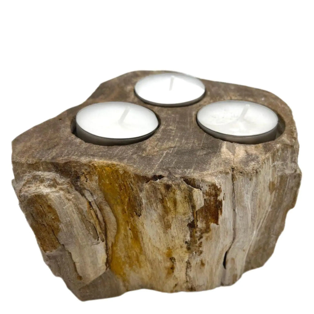  Pamperandpost Petrified Wood Candle Holder - Triple Petrified Wood Candle Holder