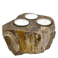  Pamperandpost Petrified Wood Candle Holder - Triple Petrified Wood Candle Holder