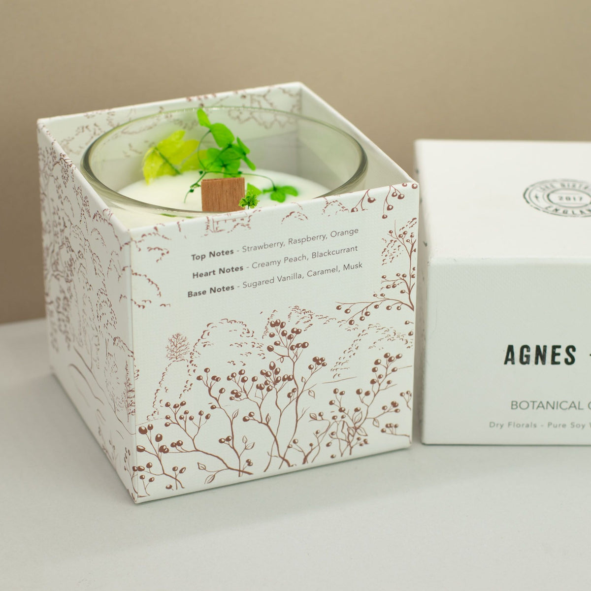  Pamperandpost Agnes + Cat Botanical Soy Wax Candle - Fellberry Agnes + Cat Botanical Soy Wax Candles