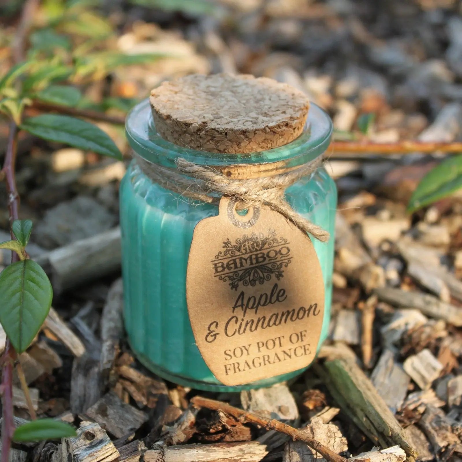 Pamperandpost Apple & Cinnamon Soy Pot of Fragrance Candles