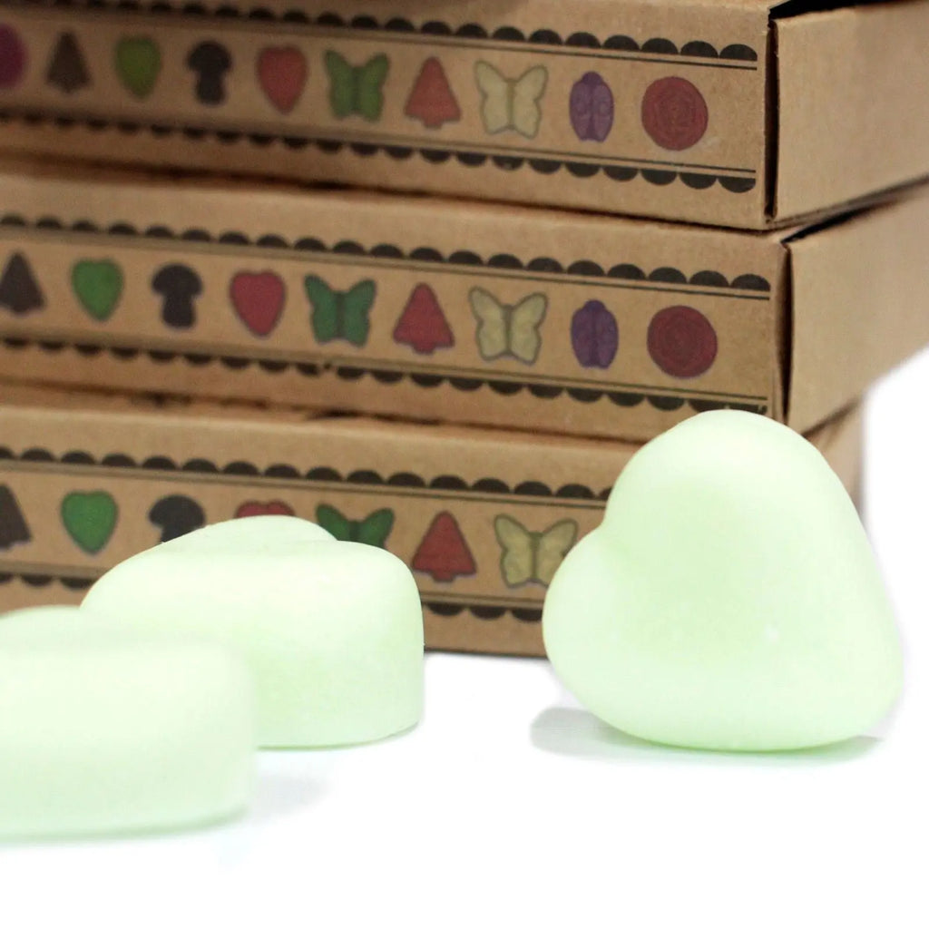  Pamperandpost Box of 6 Wax Melts - Watermelon Fresh Natural Soy Wax Melts