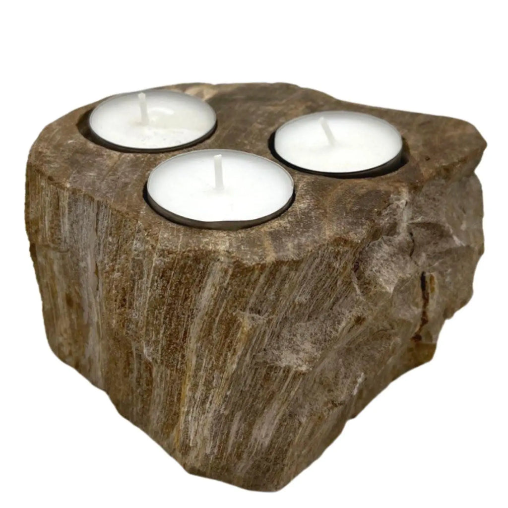  Pamperandpost Petrified Wood Candle Holder - Triple Petrified Wood Candle Holder