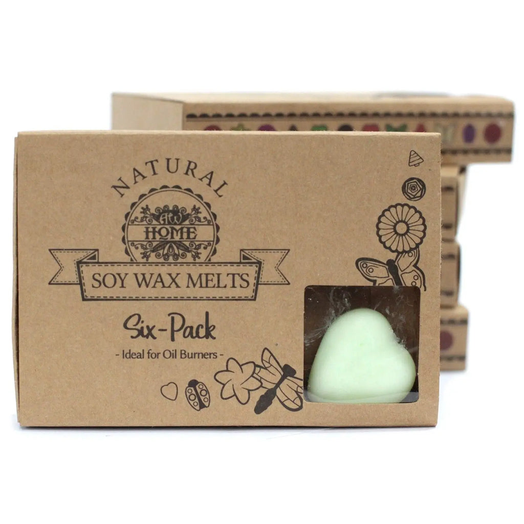  Pamperandpost Box of 6 Wax Melts - Watermelon Fresh Natural Soy Wax Melts