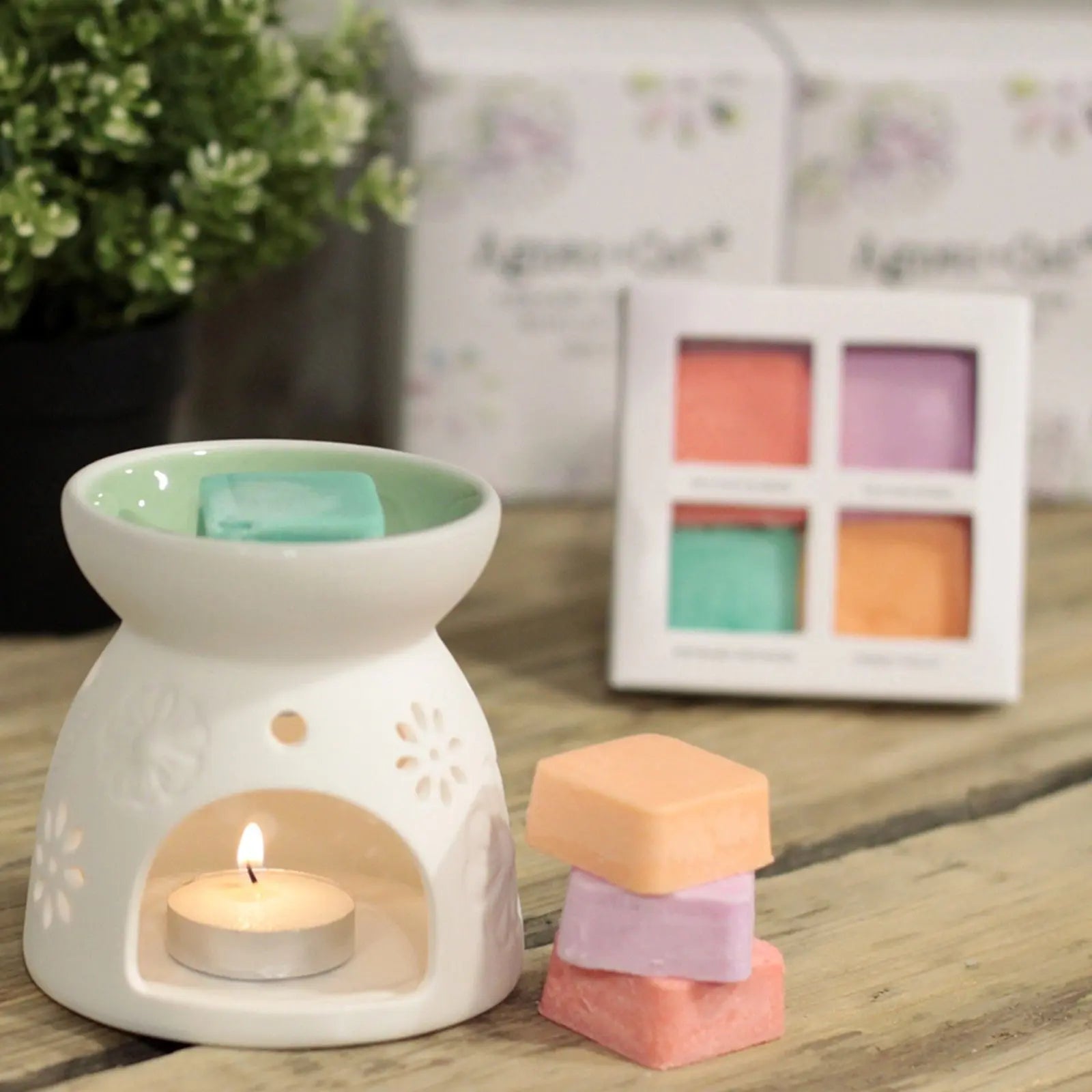 Wax Melter with Four Soy Wax Melts AW Dropship UK