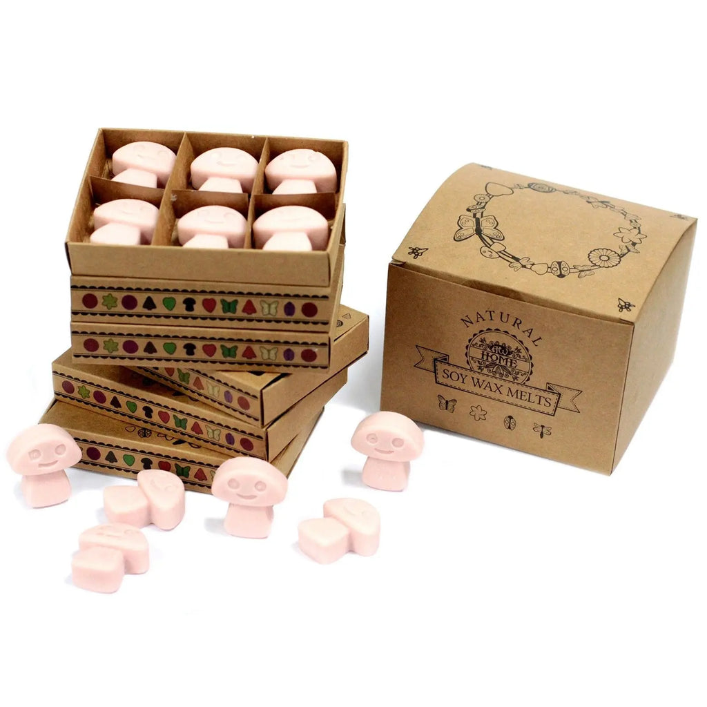 Box of 6  Wax Melts - Old Ginger AW Dropship UK