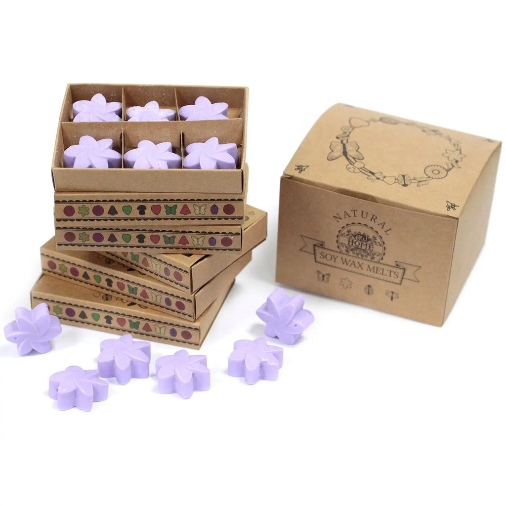 Box of 6  Wax Melts - Lavender Fields AW Dropship UK