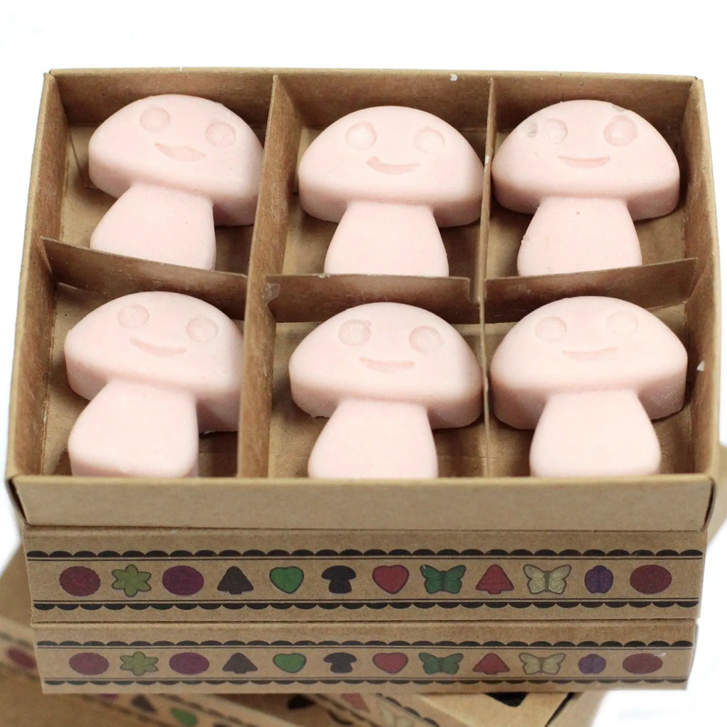 Box of 6  Wax Melts - Old Ginger AW Dropship UK