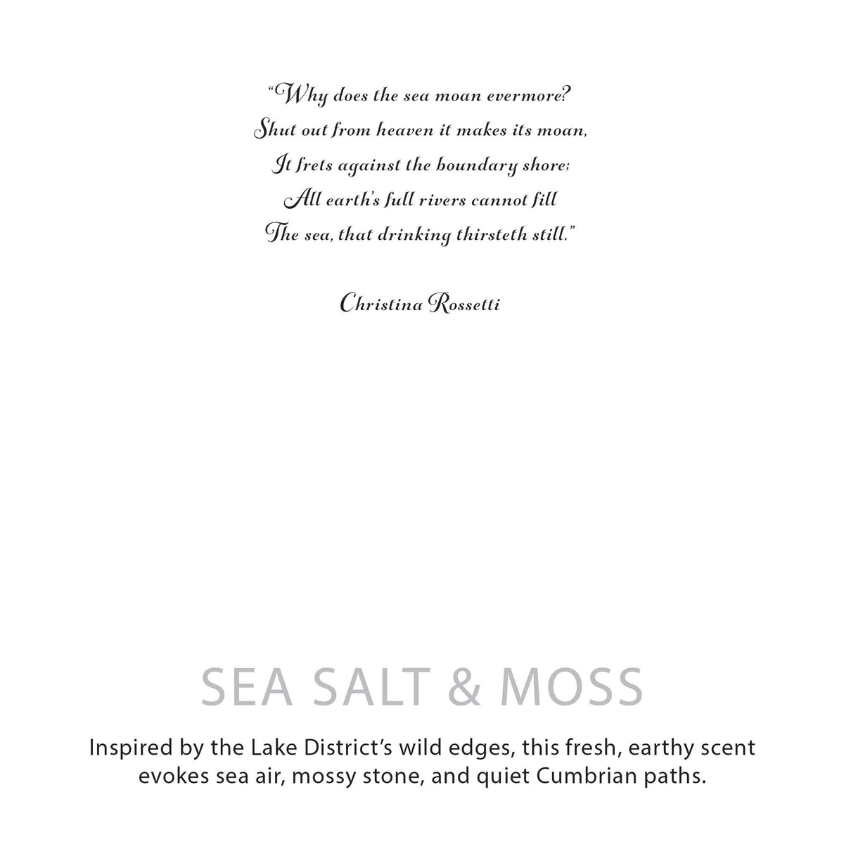  Pamperandpost Agnes + Cat Botanical Soy Wax Candle - Seasalt & Moss Agnes + Cat Botanical Soy Wax Candles