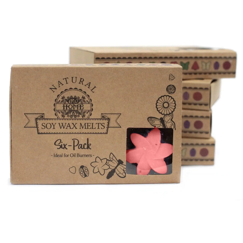  Pamperandpost Box of 6  Wax Melts -  Japanese Magnolia Natural Soy Wax Melts