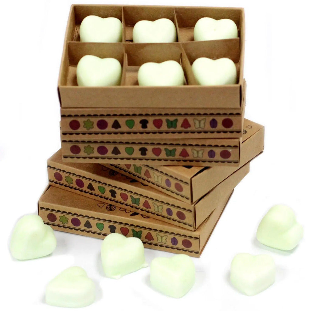 Box of 6 Wax Melts - Apple Spice AW Dropship UK