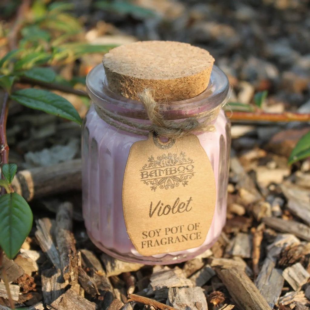 Pamperandpost Violet Soy Pot of Fragrance Candles
