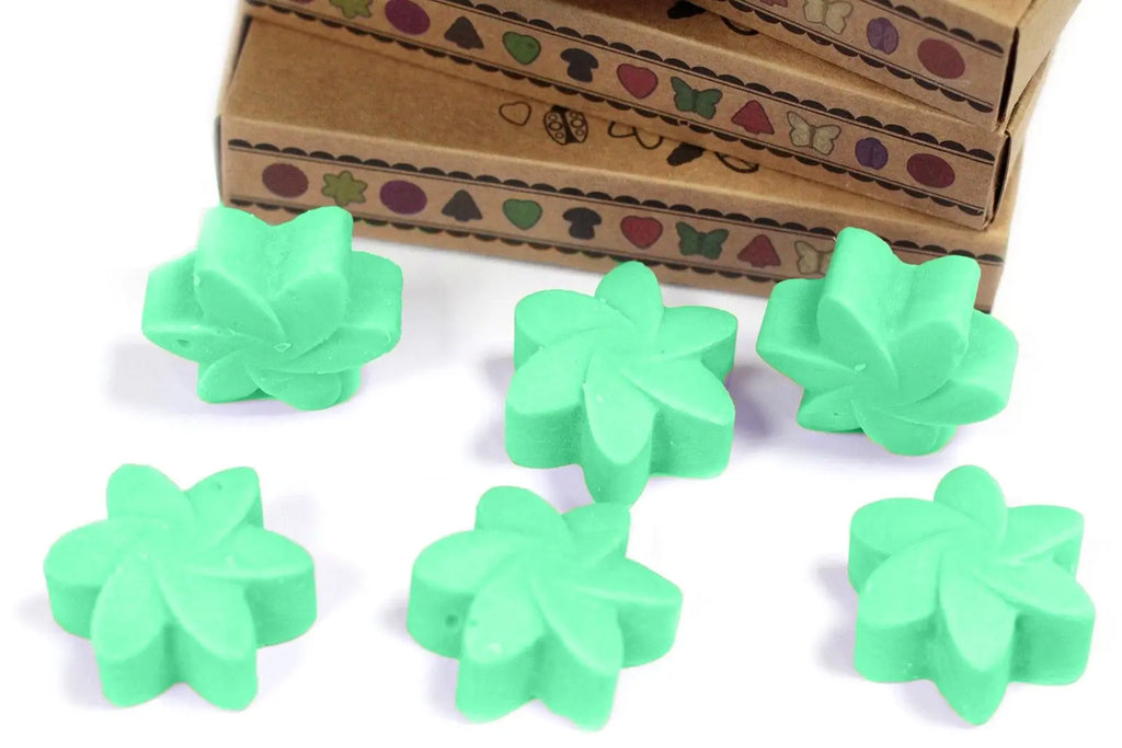 Box of 6  Wax Melts - Hidden Garden AW Dropship UK