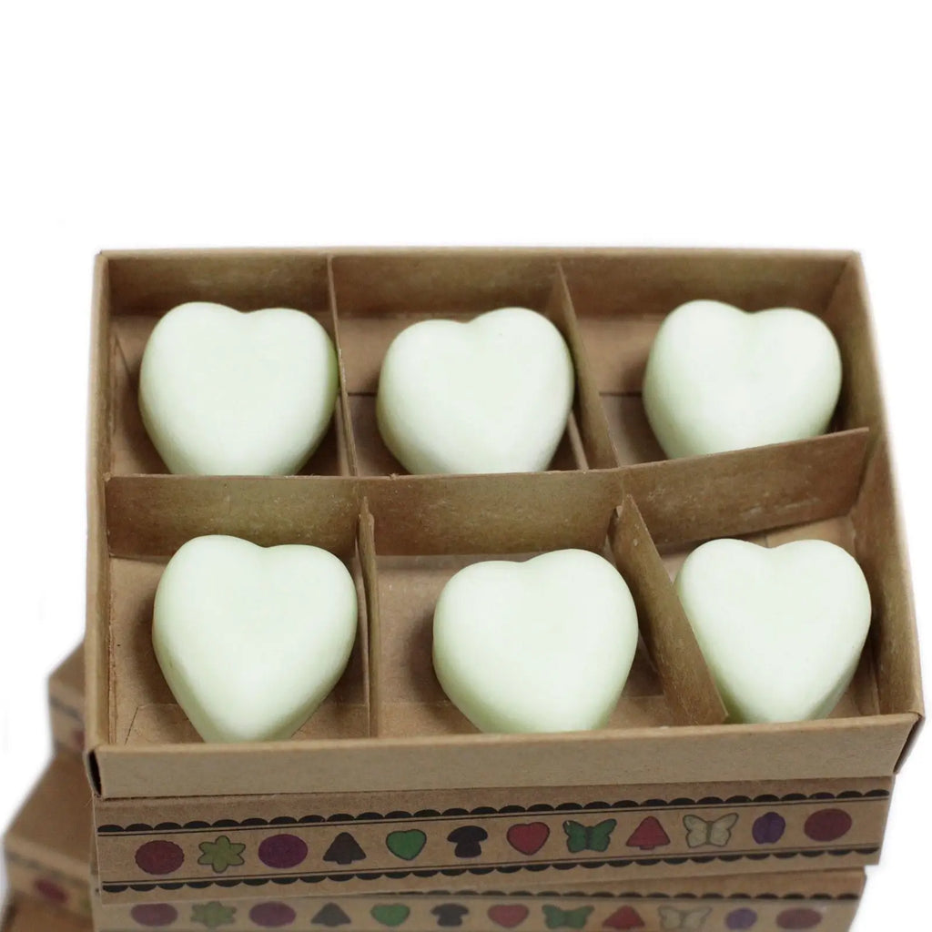 Box of 6 Wax Melts - Apple Spice AW Dropship UK