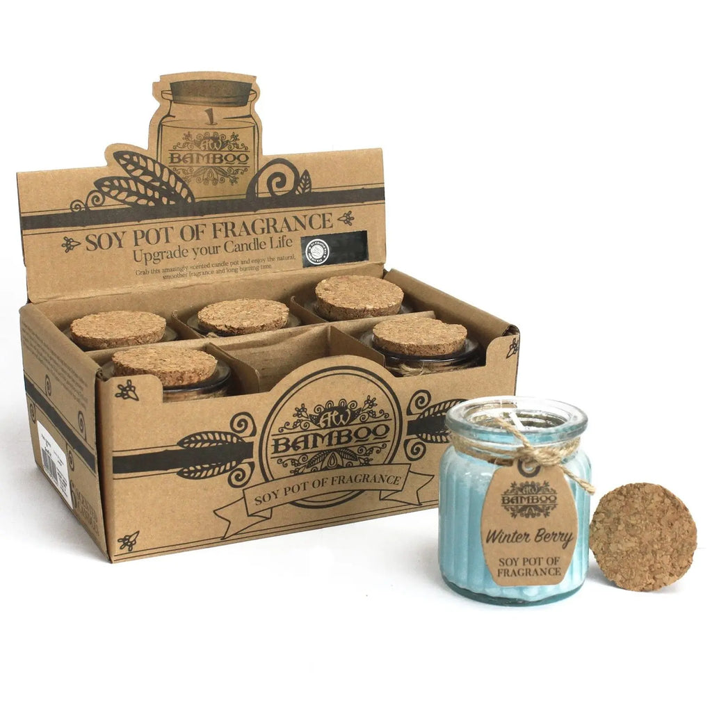 Pamperandpost Winter Berry Soy Pot of Fragrance Candles