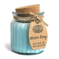 Pamperandpost Winter Berry Soy Pot of Fragrance Candles