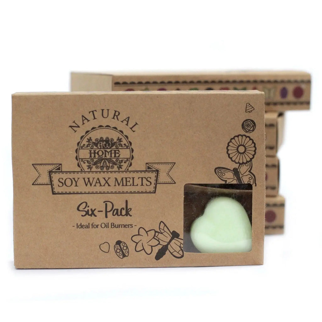 Box of 6 Wax Melts - Apple Spice AW Dropship UK