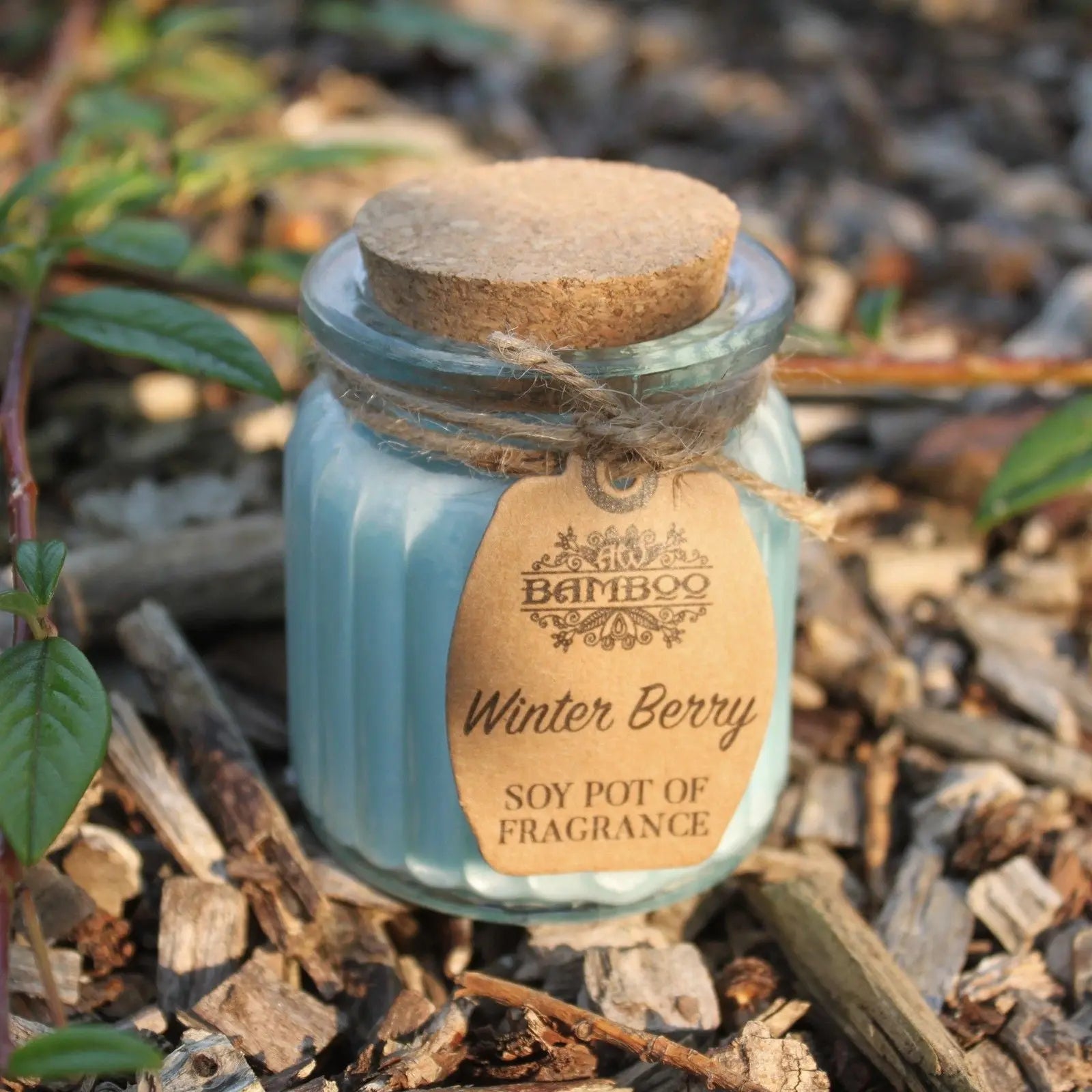Pamperandpost Winter Berry Soy Pot of Fragrance Candles