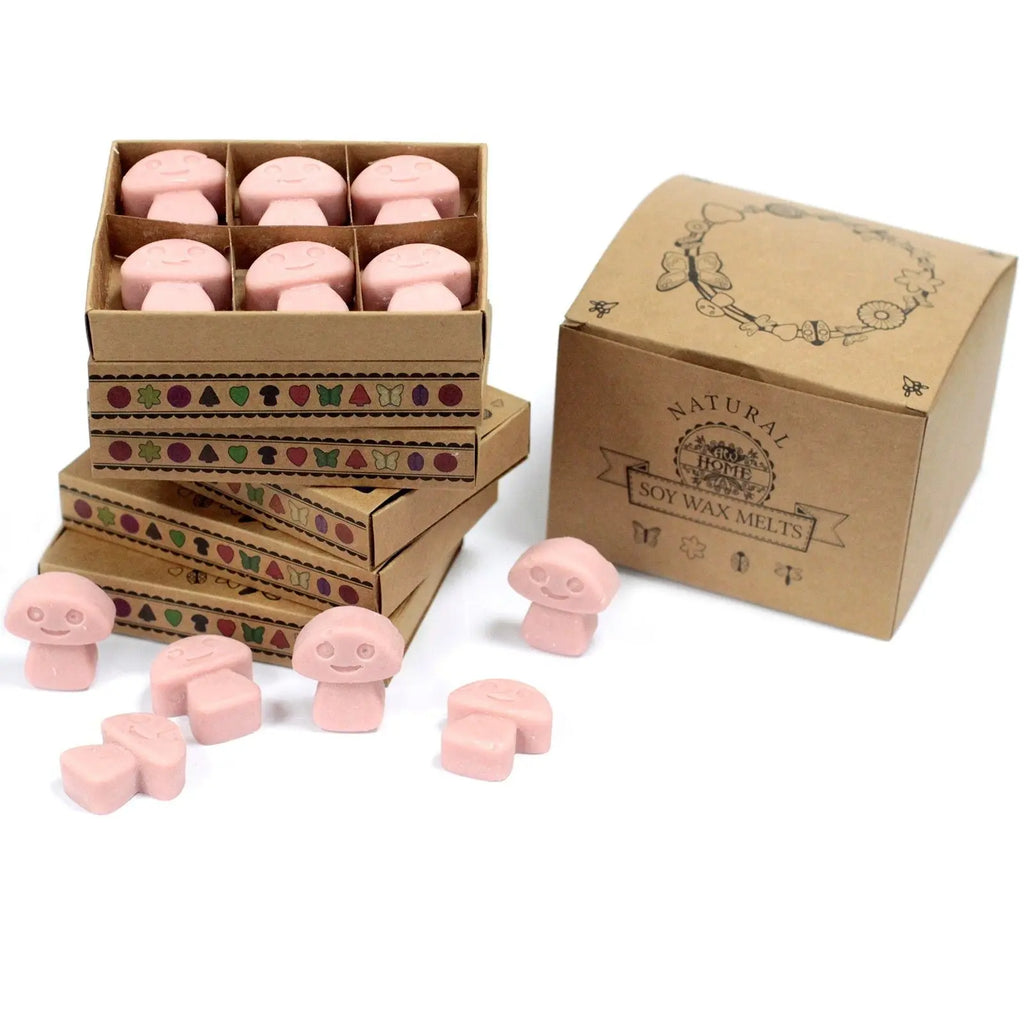 Box of 6  Wax Melts - Coffee Trader AW Dropship UK