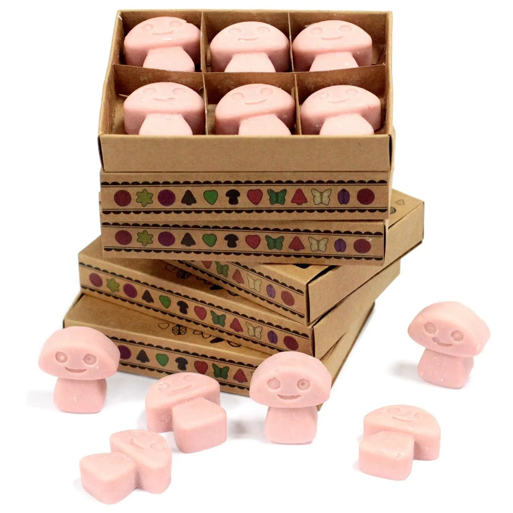 Box of 6  Wax Melts - Coffee Trader AW Dropship UK