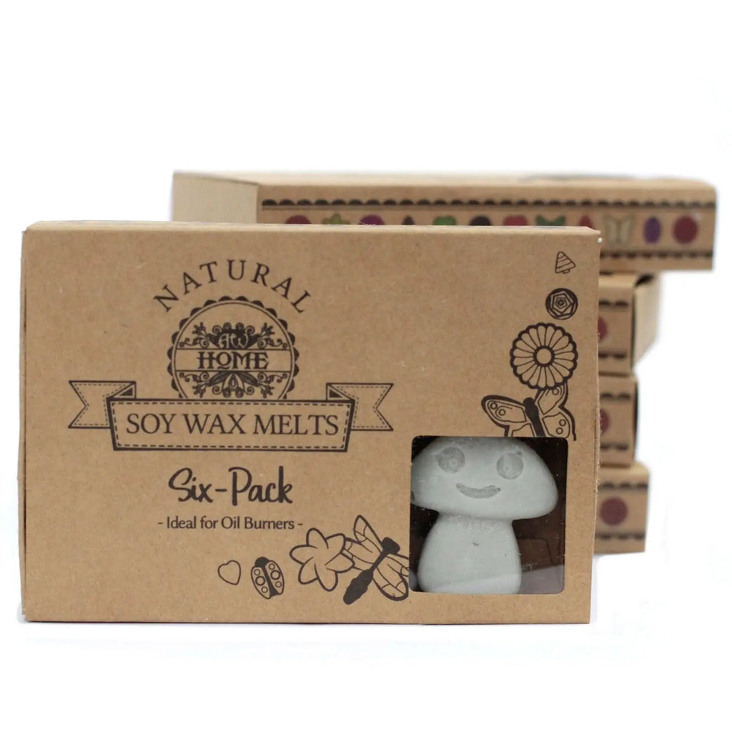 Box of 6  Wax Melts - Dark Patchouli AW Dropship UK
