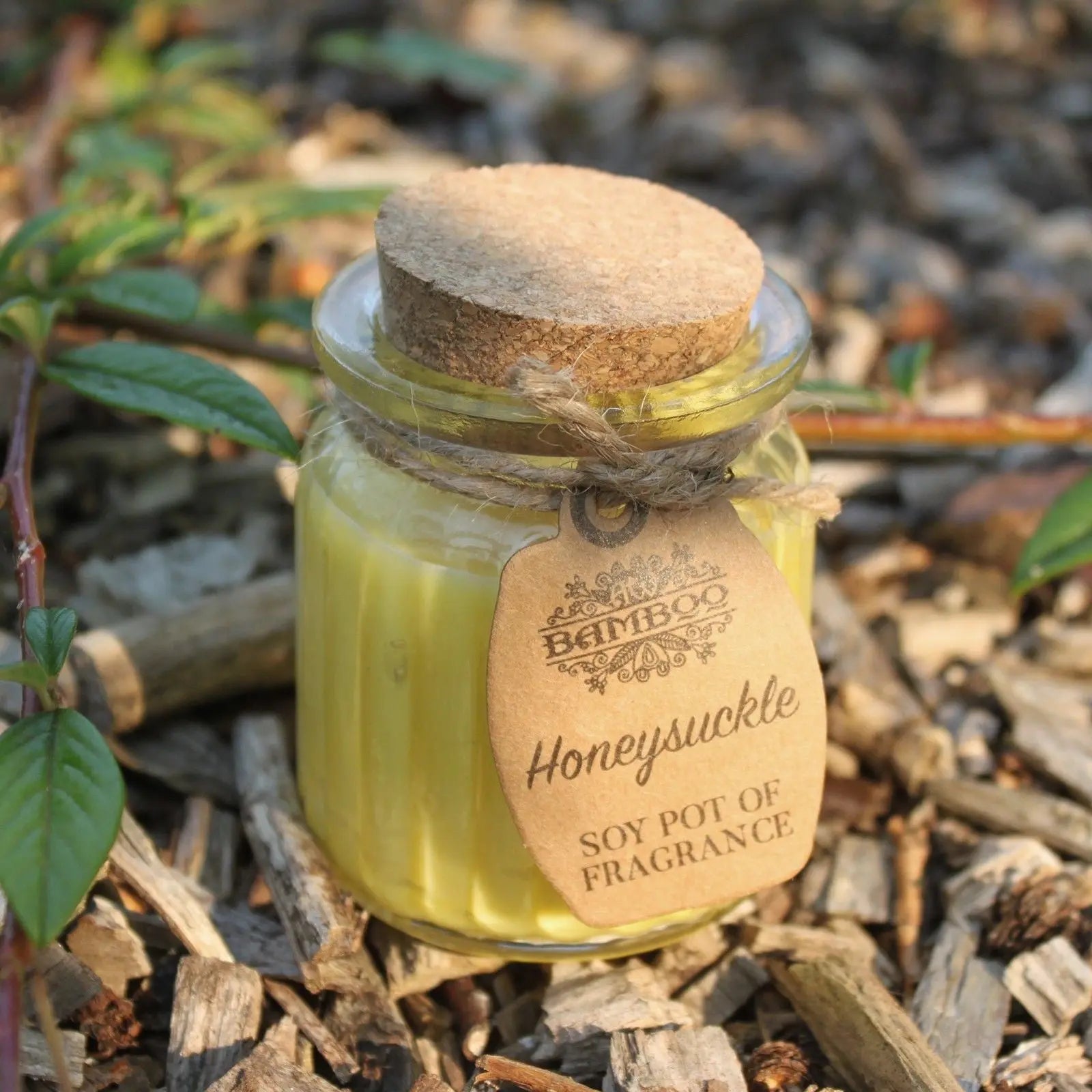 Pamperandpost Honeysuckle Soy Pot of Fragrance Candles