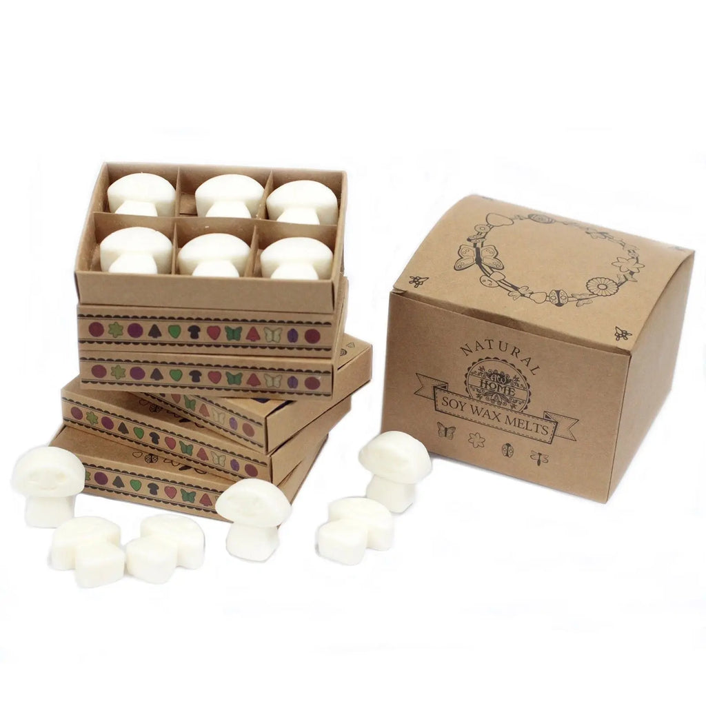 Box of 6 Wax Melts - White Musk AW Dropship UK