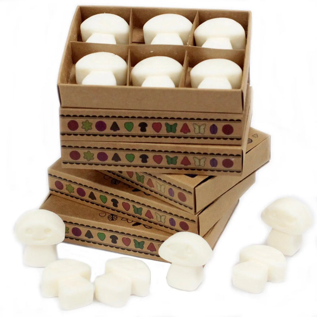 Box of 6 Wax Melts - White Musk AW Dropship UK