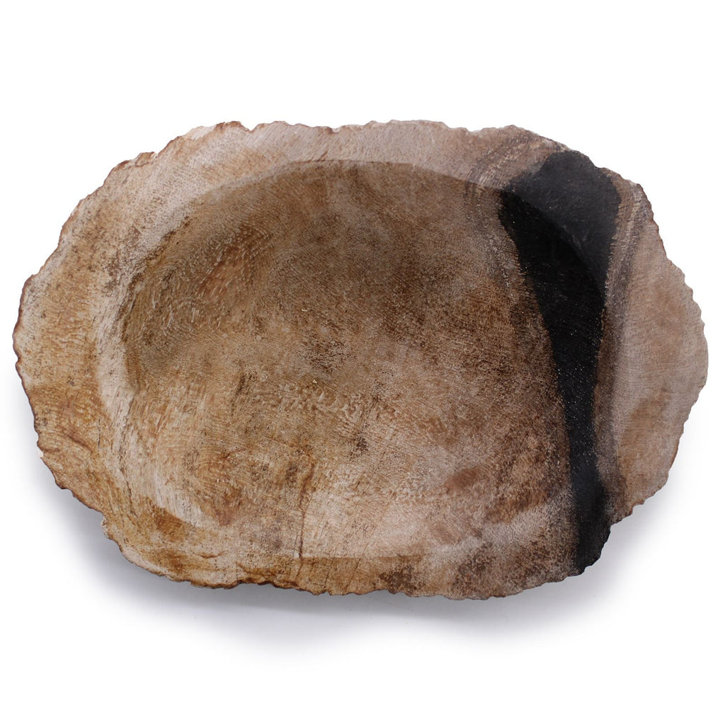  Pamperandpost Petrified Wood Brown/Black Soap Dish Stone Soap Dishes
