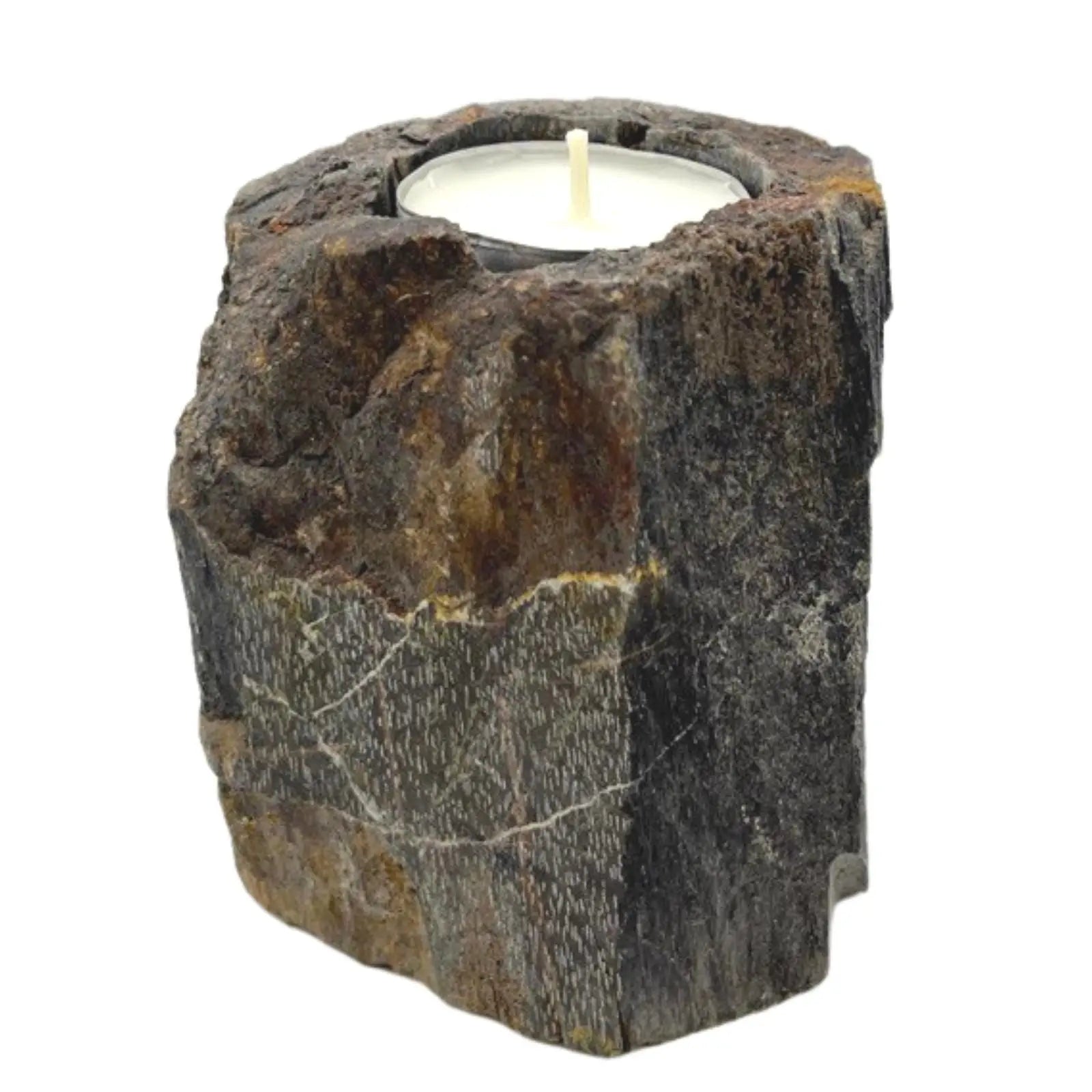  Pamperandpost Petrified Wood Candle Holder - Single Low Petrified Wood Candle Holder