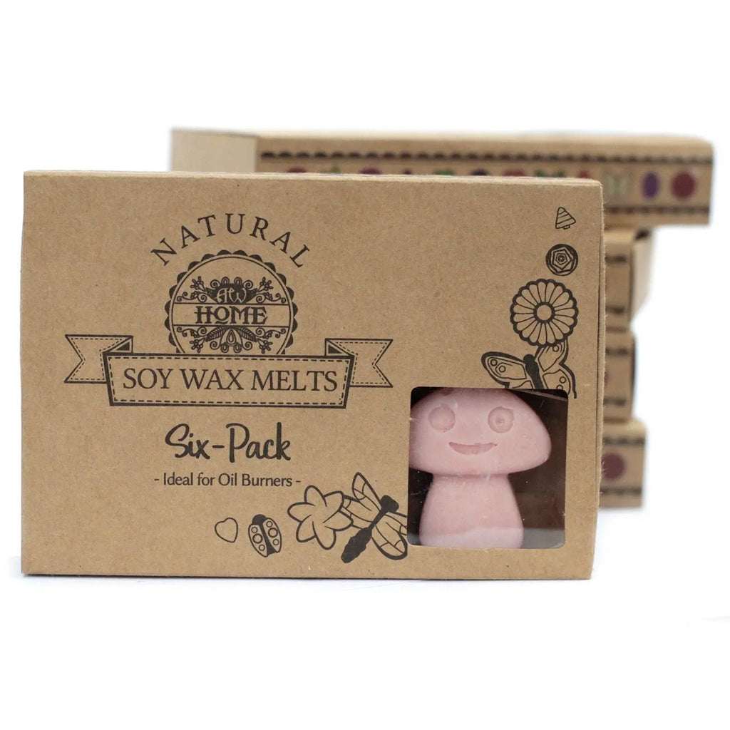 Box of 6  Wax Melts - Coffee Trader AW Dropship UK