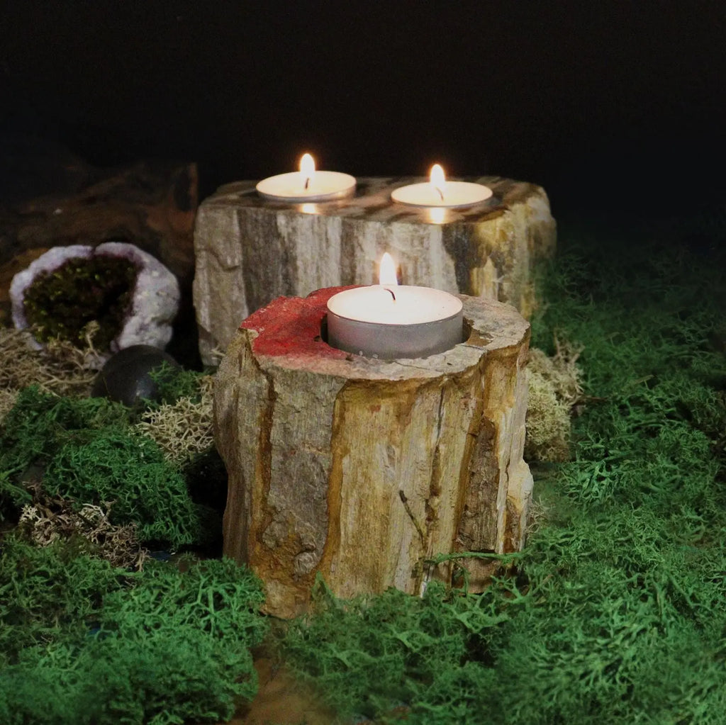  Pamperandpost Petrified Wood Candle Holder - Single Low Petrified Wood Candle Holder