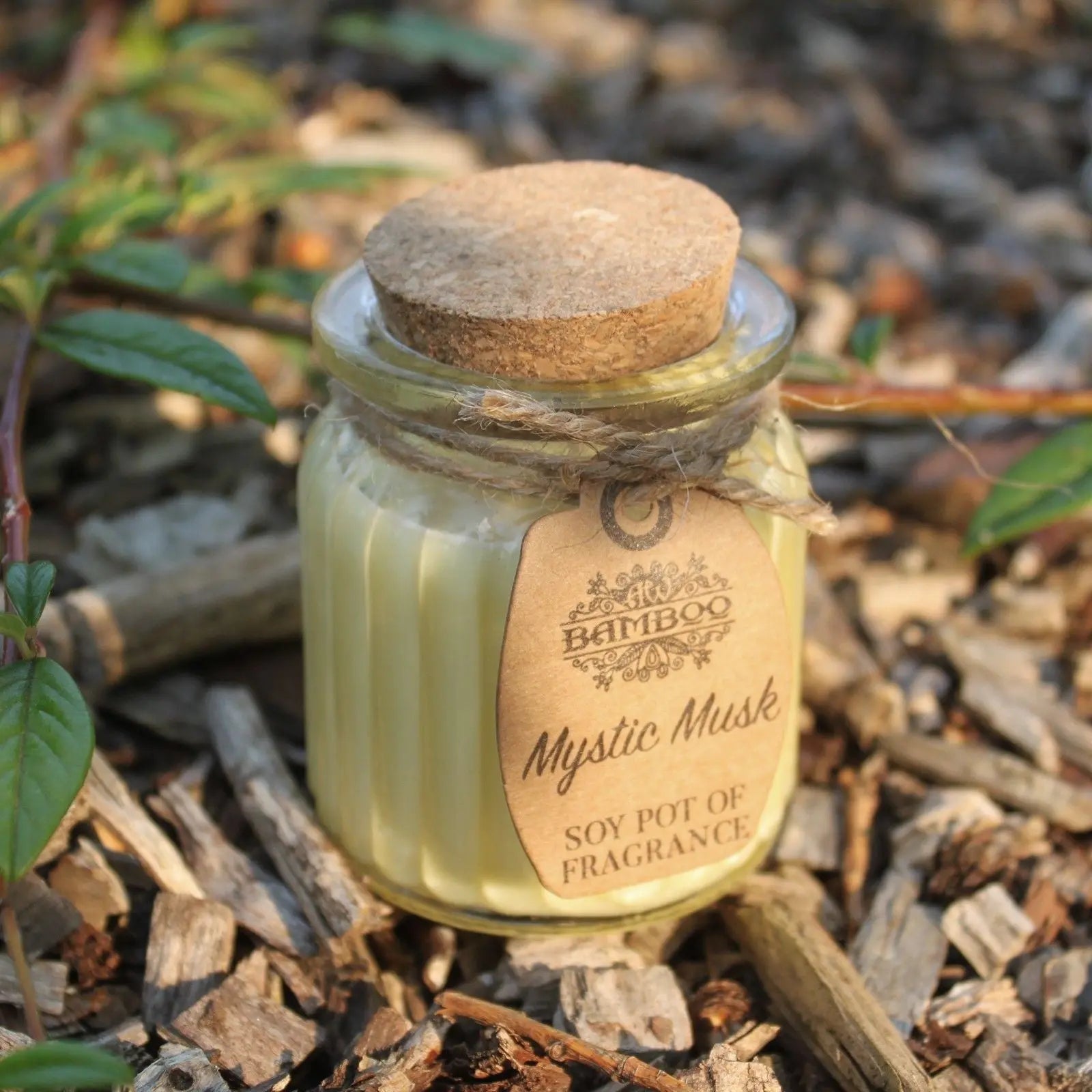 Mystic Musk Soy Pot of Fragrance Candles AW Dropship UK